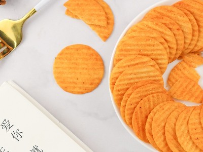 �����ʴ�ȼ����Ƭ�ó���������