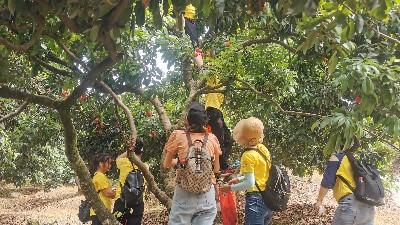 ���縣����yd12300�ƶ���·��֯ժ��֦�